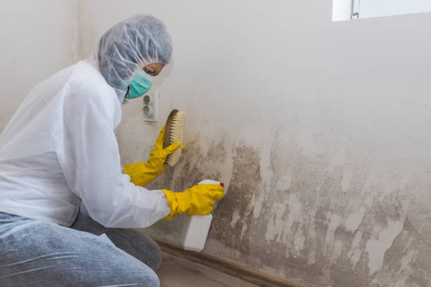 Best Biohazard Mold Removal  in Stockton University, NJ