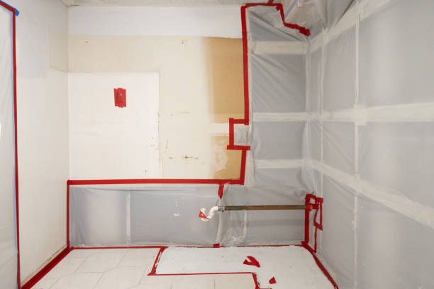 Best Forensic Mold Investigation  in Stockton University, NJ