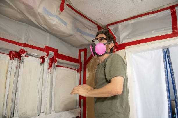 Stockton University, NJ Mold Removal Company