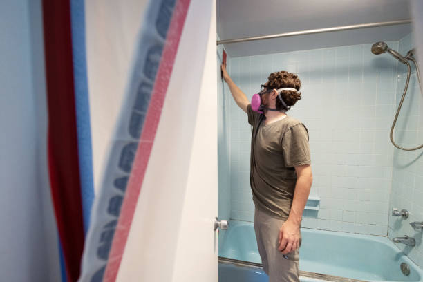 Best Asbestos and Lead Testing During Mold Inspection  in Stockton University, NJ