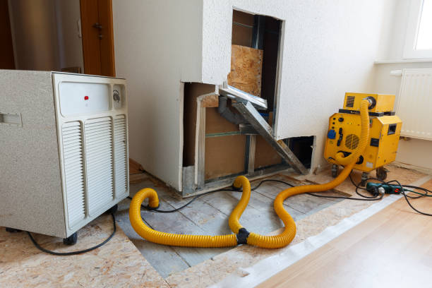 Best Environmental Consulting for Mold Prevention  in Stockton University, NJ