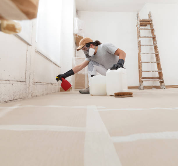 Best Water Damage & Mold Remediation  in Stockton University, NJ
