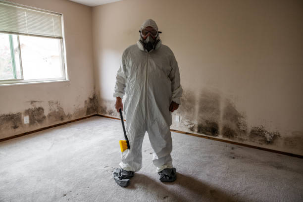 Best Industrial Mold Remediation  in Stockton University, NJ