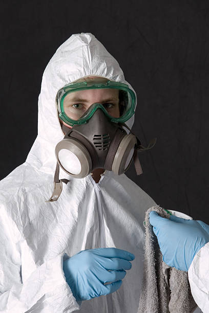 Best Real Estate Mold Inspection  in Stockton University, NJ